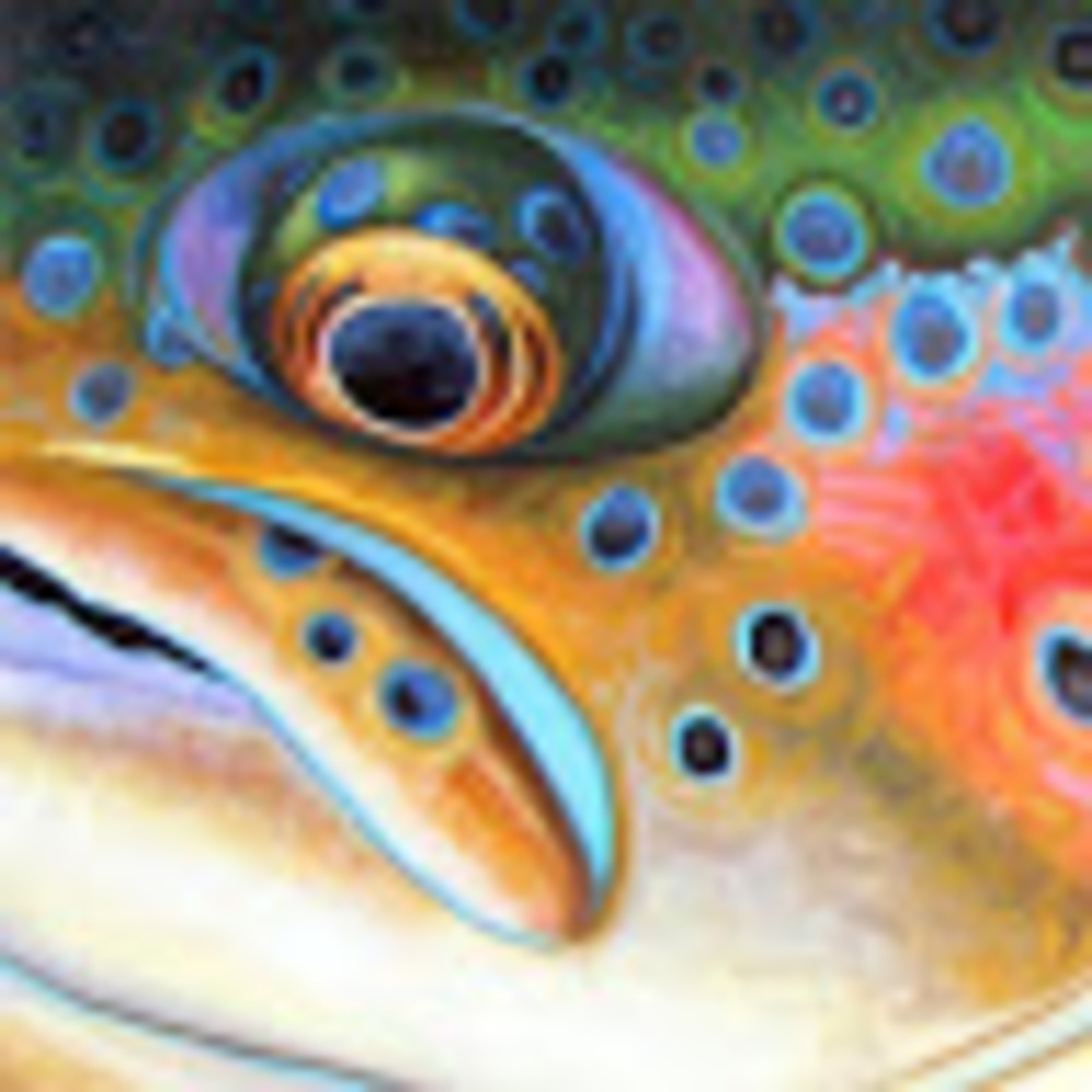 Meet your Posher, William